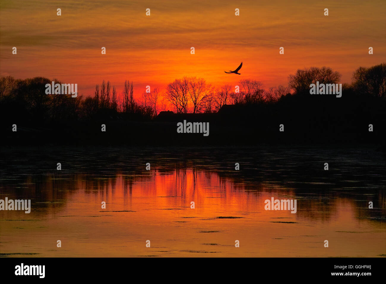 Sonnenuntergang an der Lesum, Blick nach Lesumbrok, Bremen-St Magnus, Deutschland, Allemagne Banque D'Images