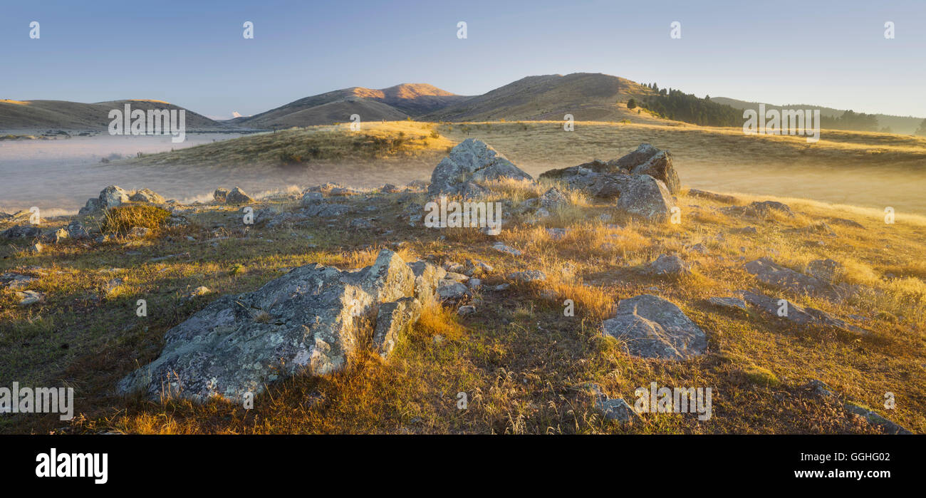 Le lever du soleil sur un pré, rochers, Otago, île du Sud, Nouvelle-Zélande Banque D'Images