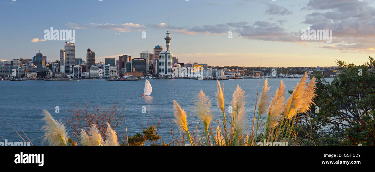 Stanley Bay et Auckland Skyline dans la soirée, île du Nord, Nouvelle-Zélande Banque D'Images