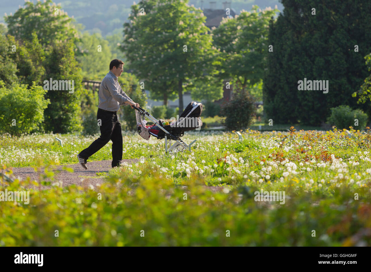 Père poussant la pram, lit de fleur, parc Doblhoff, Baden, près de Vienne, en Basse-Autriche, Autriche Banque D'Images