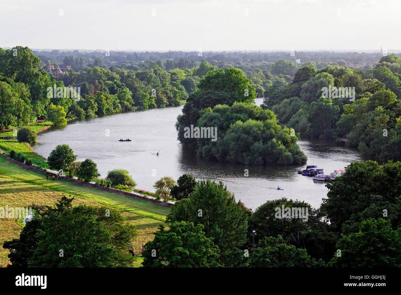 Vue de jardins en terrasse sur la rivière Thames et de Glover's Island, Richmond upon Thames, Surrey, Angleterre, Royaume-Uni Banque D'Images