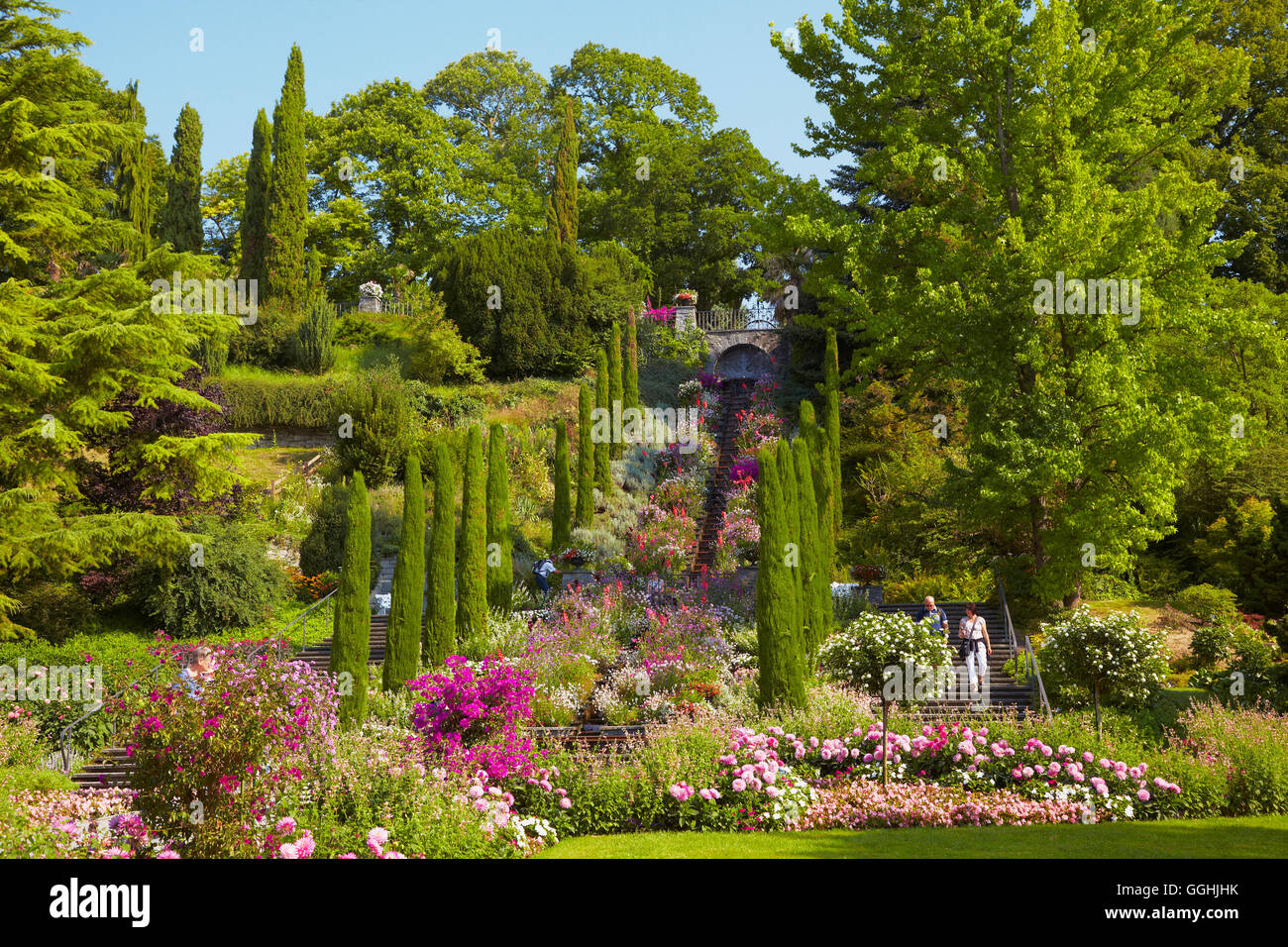 Jardin sur l'île de Mainau, fleur de style italien et de l'eau Cascade, Ueberlinger Voir, Bodensee, le lac de Constance, Bade-Wurtemberg, Banque D'Images