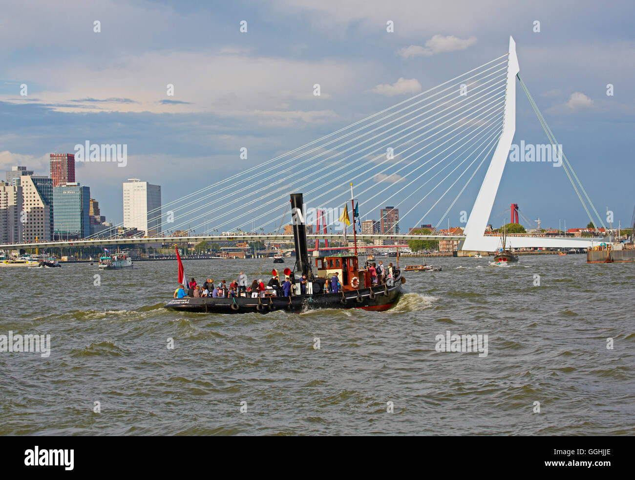 Les nouveaux navires à passagers de Rotterdam à Rotterdam Harbour, pont Erasmus, Province du Sud des Pays-Bas, la Hollande du Sud, Netherla Banque D'Images