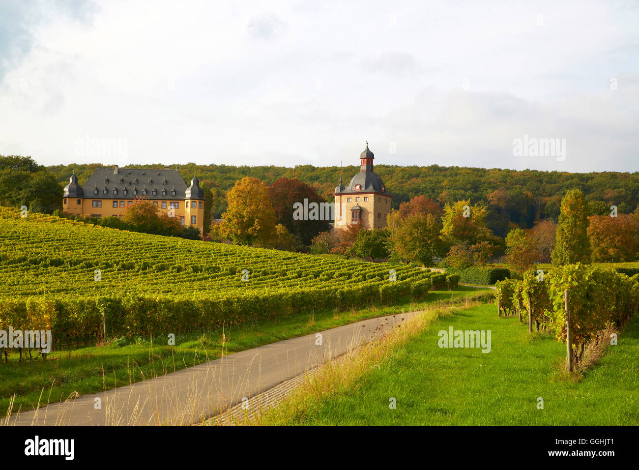 Schloss Vollrads Winery, près de Oestrich-Winkel, Mittelrhein, Rhin moyen, Hesse, Germany, Europe Banque D'Images
