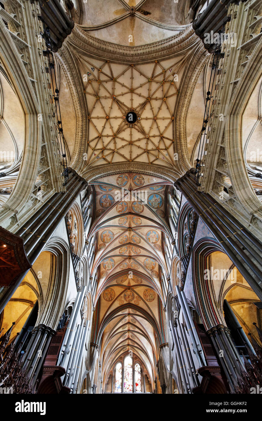 Vault, la cathédrale de Salisbury, Salisbury, Wiltshire, Angleterre, Grande-Bretagne Banque D'Images
