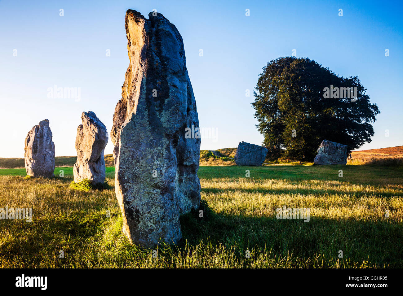 Pierres Sarsen au lever du soleil à Avebury, dans le Wiltshire. Banque D'Images