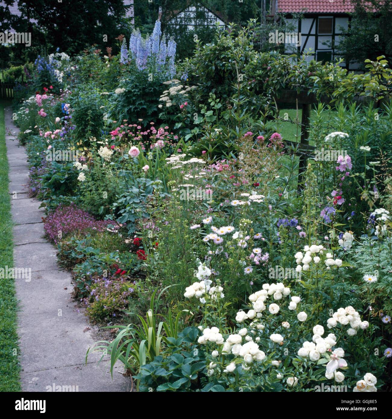 Jardin de fleurs et de fruits - mixed border soutenu par FAF084280 / pommes cordon Banque D'Images