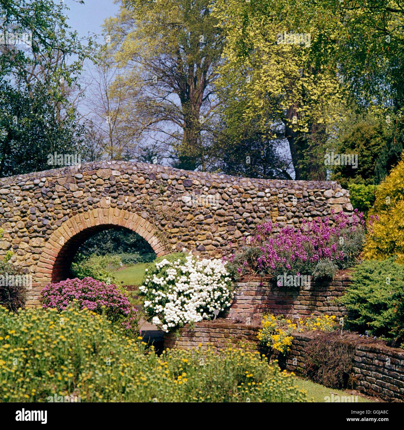 Bressingham - le Dell - Jardin du regretté Alan Bloom DGN017818 /Photosho Banque D'Images