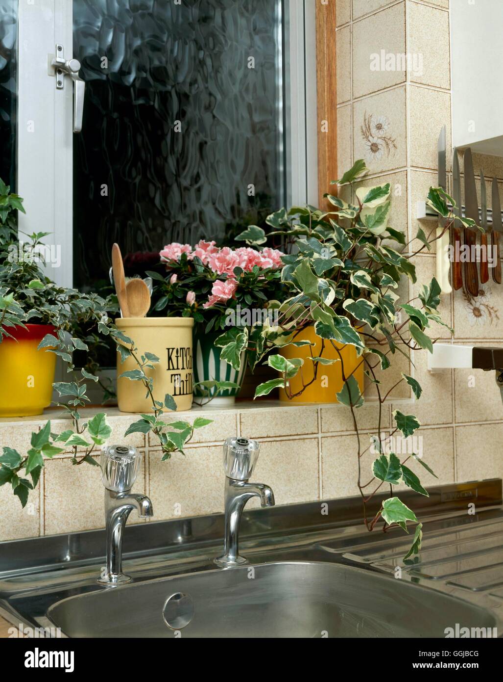 Les plantes d'appartement In Situ - sa cuisine051030 Banque D'Images