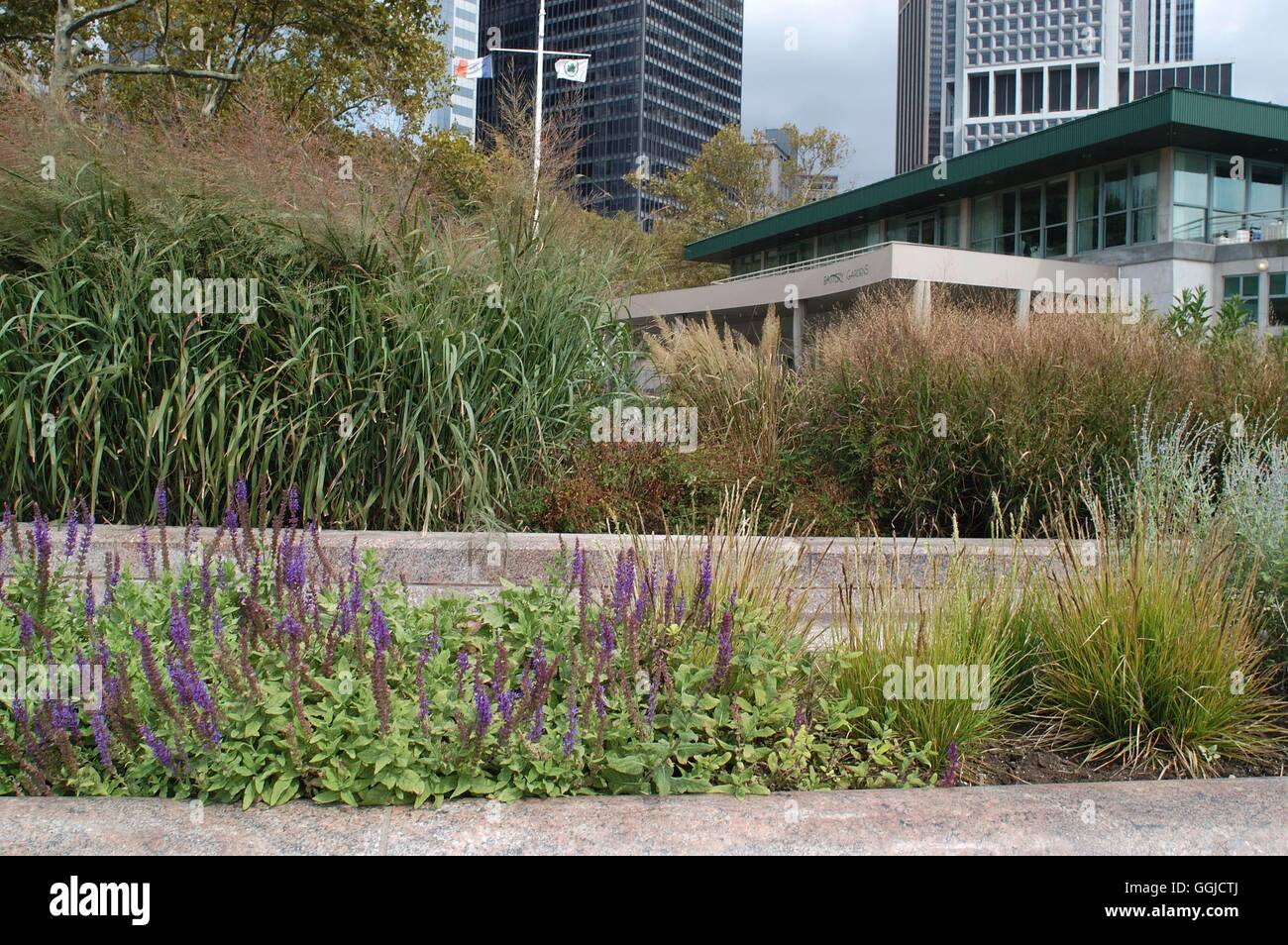 New York - Memorial Garden pour le 11 septembre 2001 conçu par Piet Oudolff MIW /P250488 Banque D'Images