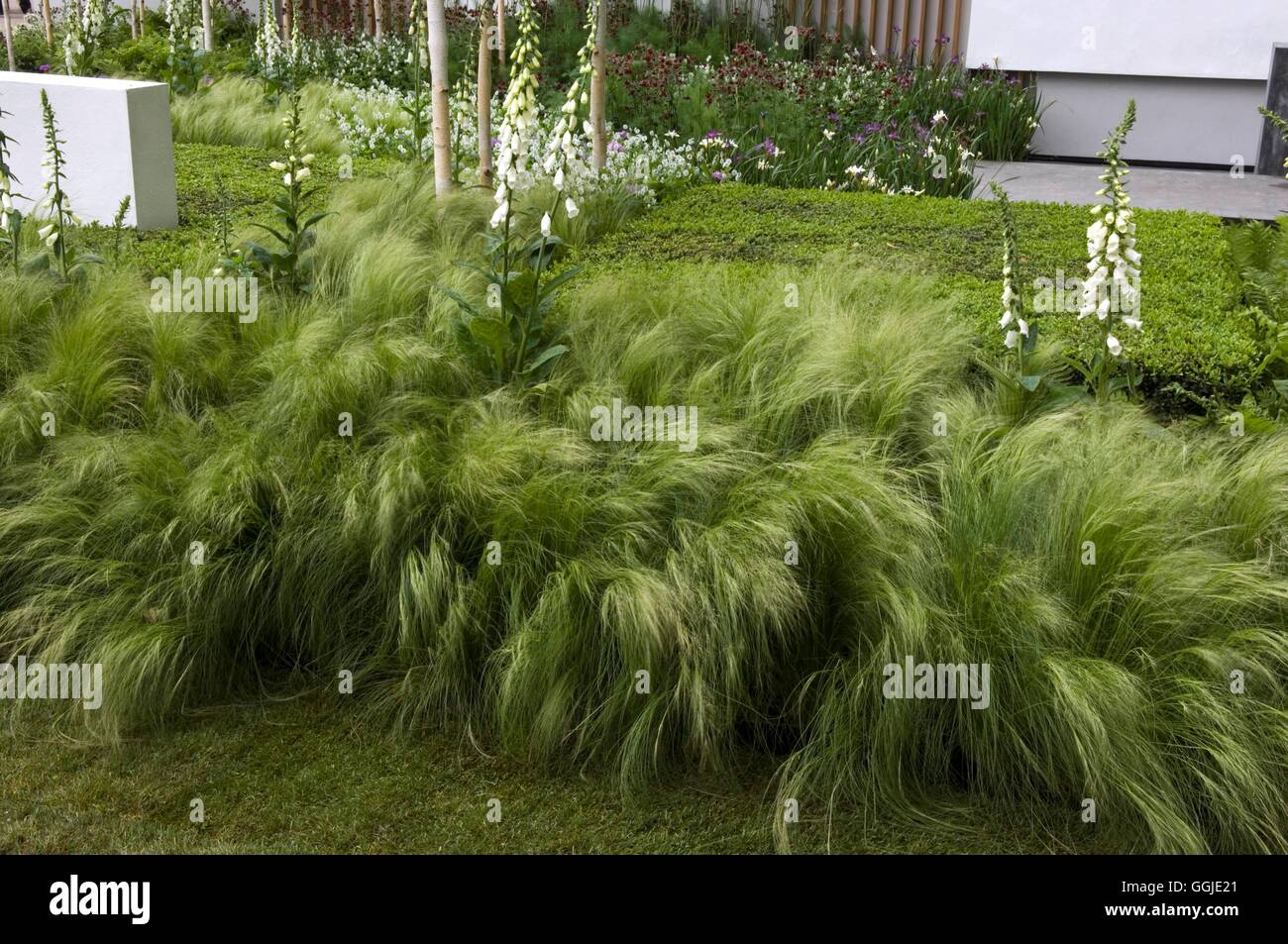 Chelsea Flower Show 2006 -- l'Savills jardin conçu par Marcus Barnett et Philip Nixon MIW251133 Cre Obligatoire Banque D'Images