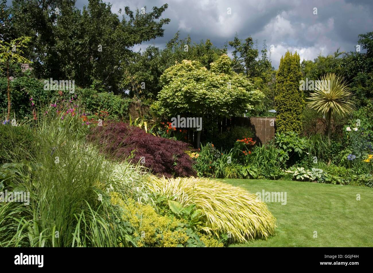 Jardin en pente- avec des graminées ornementales- - (photos : Photos Hort/Anna Nolan) MIW P251691 Banque D'Images