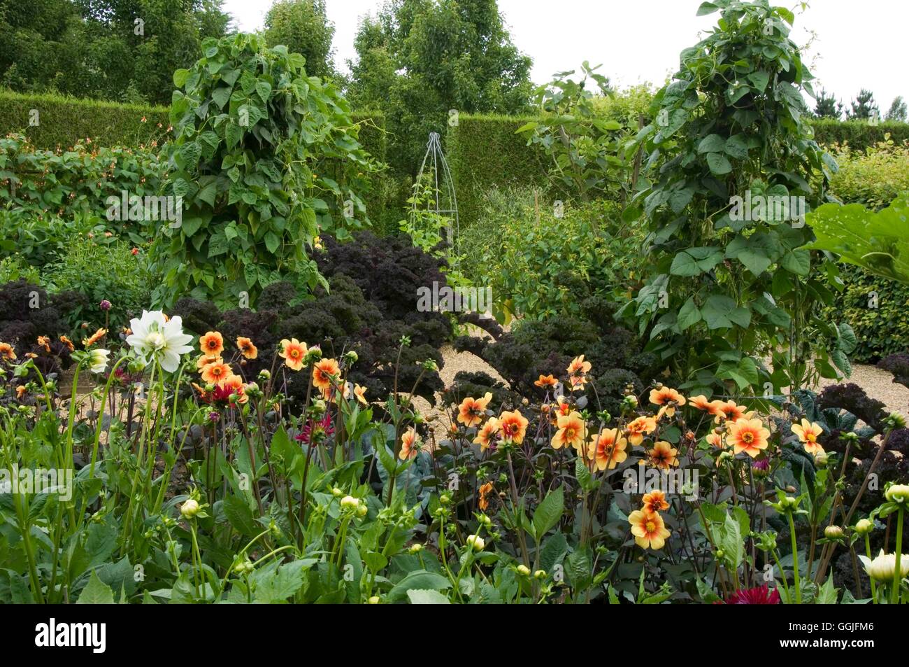Jardin de fleurs et de légumes -- (photos : Photos Hort/The Old Vicarage East Ruston) SMI252024 Cred Obligatoire Banque D'Images