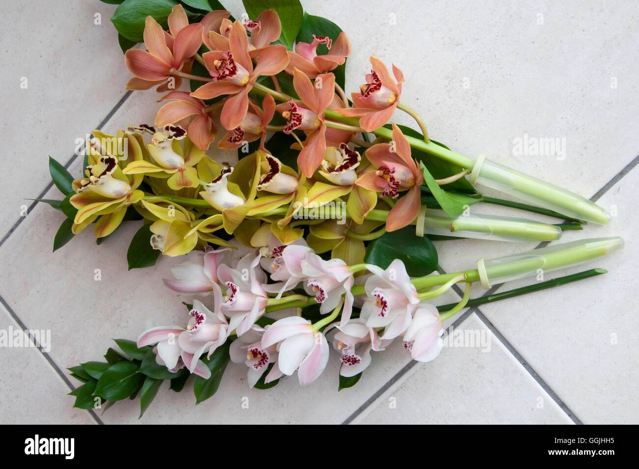 Arrangement de fleurs coupées/- - les orchidées Cymbidiums avec leur propre eau réservoirs MIW P253205 Banque D'Images