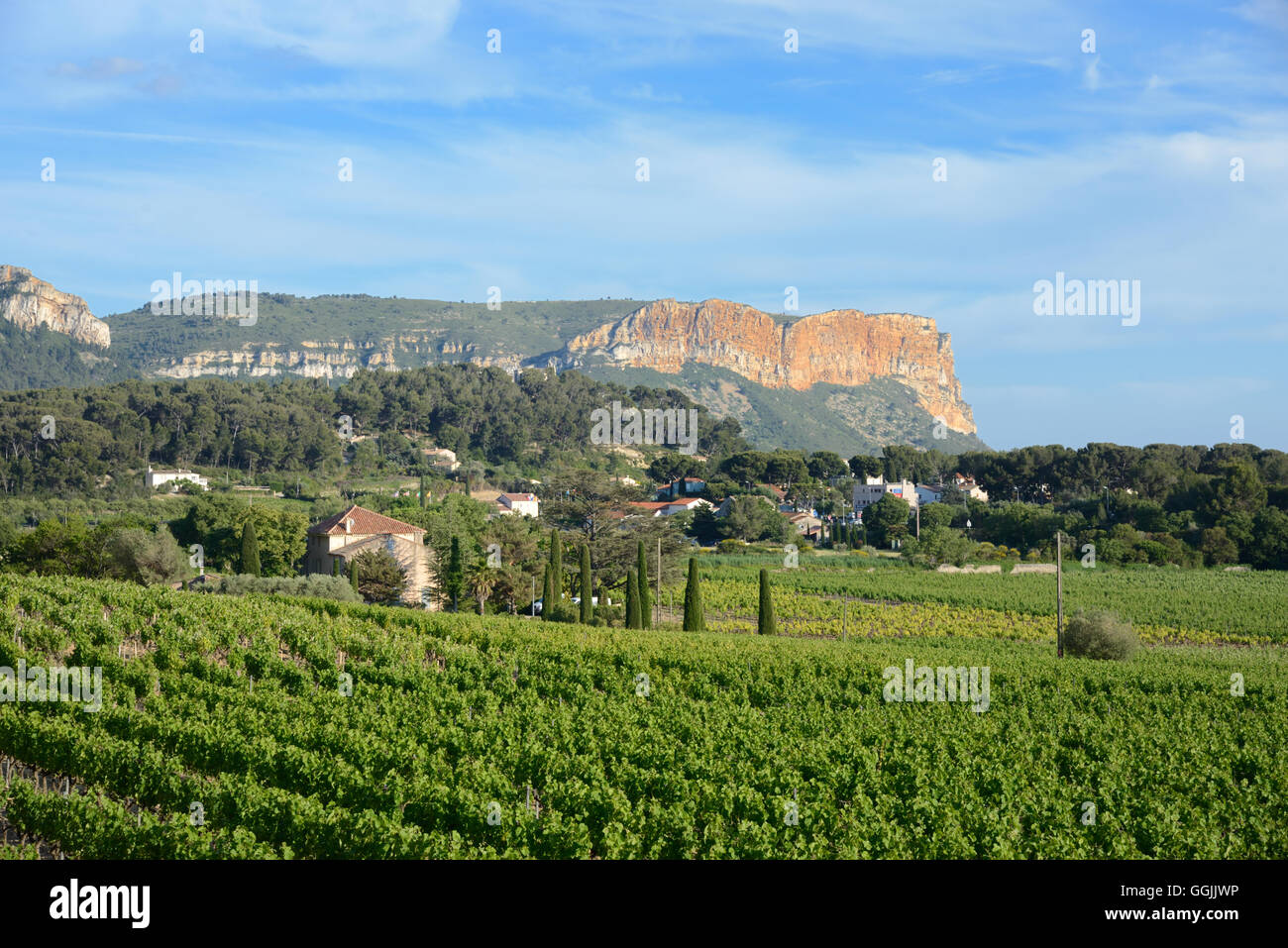 Cassis Vignobles et falaises de Cap Canaille Cassis Provence France Banque D'Images