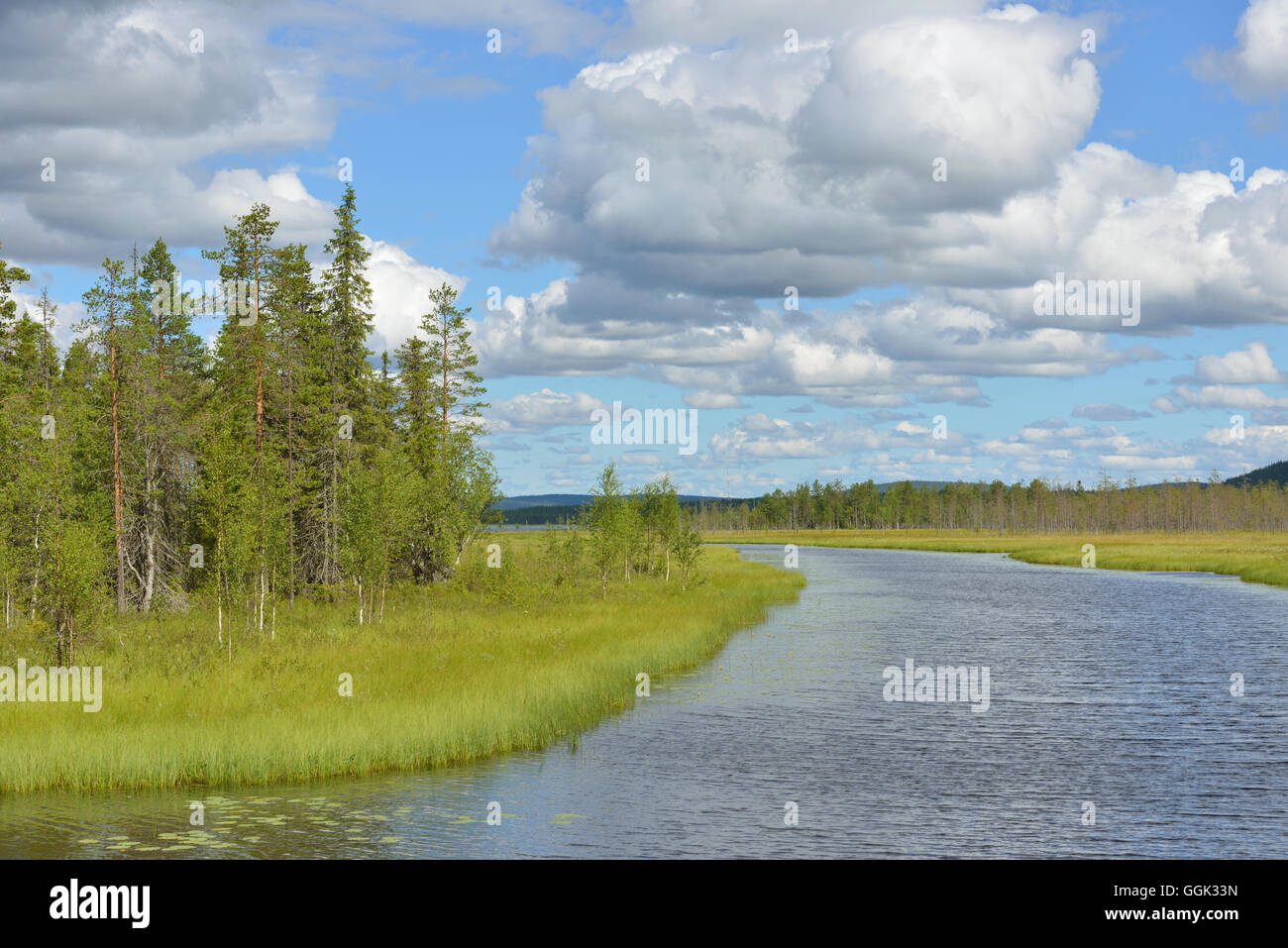 Paysage d'été. Rivière du Nord Banque D'Images