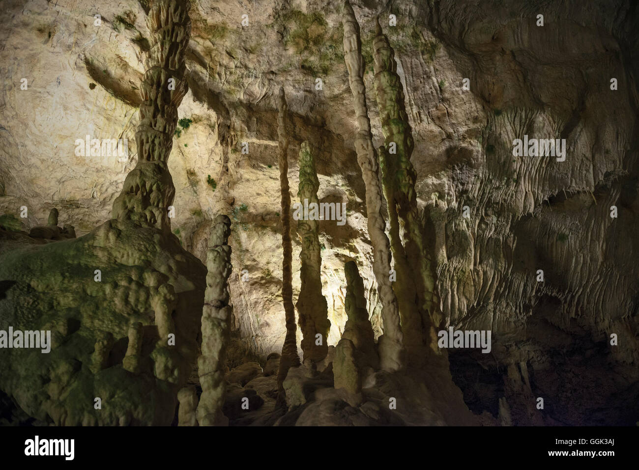 Stalagmites et stalactites géantes dans une grotte calcaire, et Karlshoehle Baerenhoehle, Sonnenbuehl souabe, Alp, Baden-Wuerttember Banque D'Images