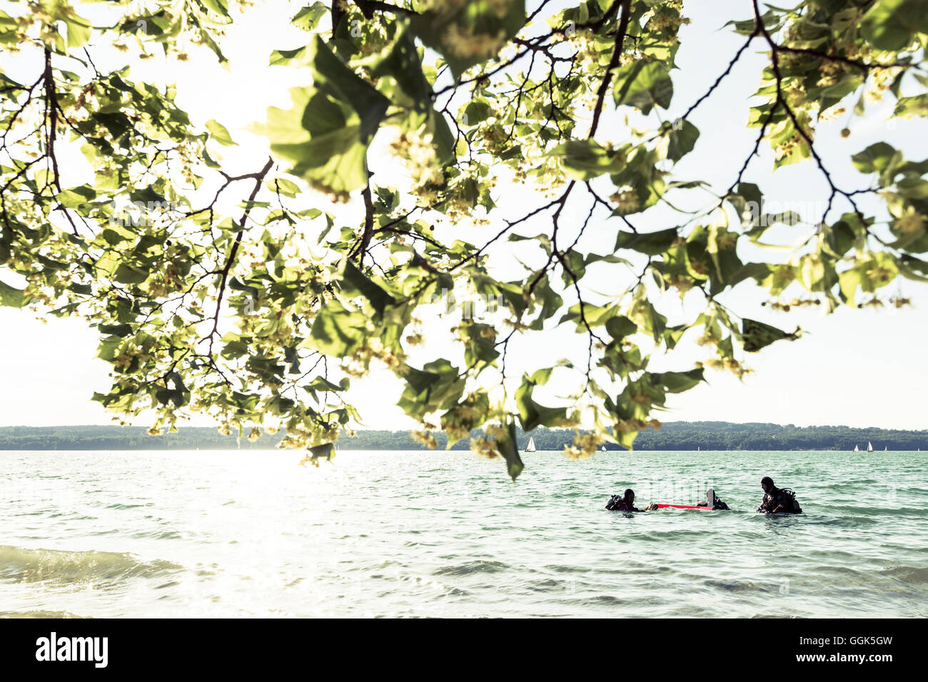 Les plongeurs dans le lac de Starberg Allmannshausen, face raide, Haute-Bavière, Allemagne Banque D'Images