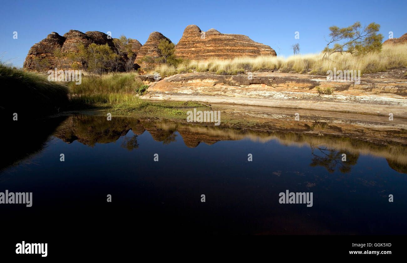 Gamme de Bungle Bungle en miroir dans un petit lac, le Parc National de Purnululu, Western Australia, Australia Banque D'Images