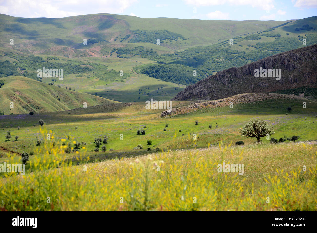 Paysage au sud de Erzurum, est de l'Anatolie, est de la Turquie, Turquie Banque D'Images