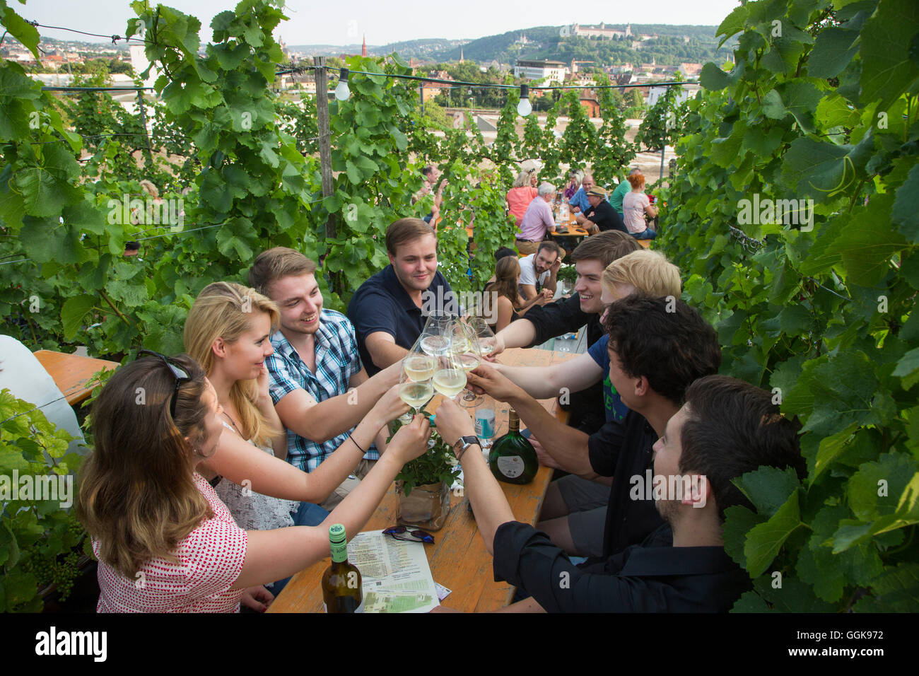 Les gens assis au milieu des vignes dans le cadre d'un festival à Weingut am Stein Winery, Wuerzburg, Franconia, Bavaria, Germany Banque D'Images