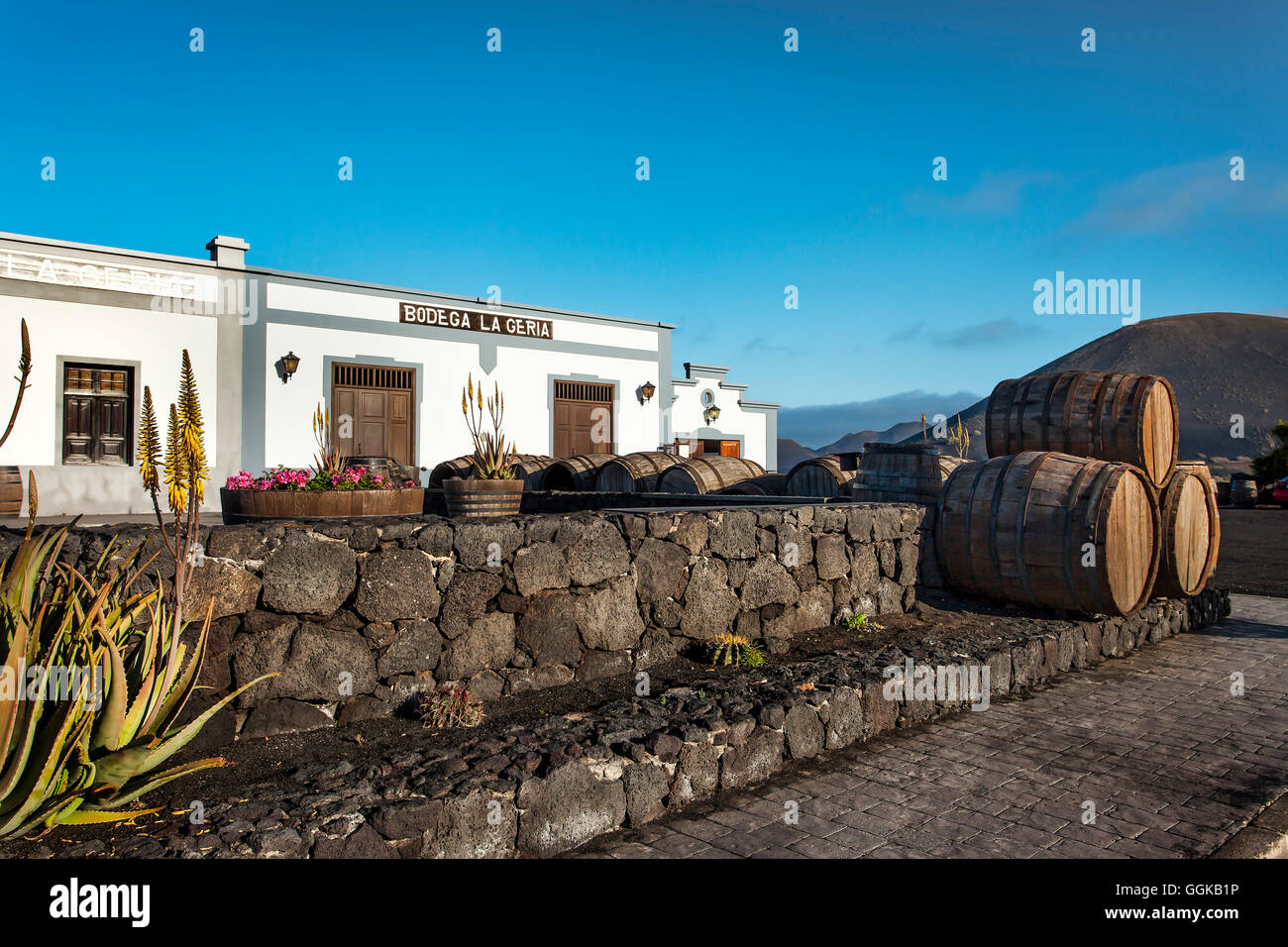 Bodega La Geria, région du vin La Geria, Lanzarote, îles Canaries, Espagne Banque D'Images