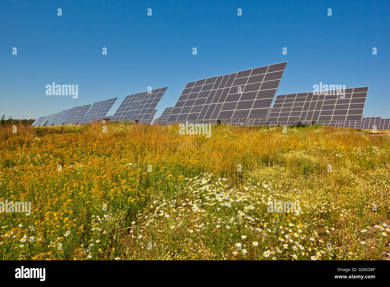 Parc solaire en été, Peterswald, Neuental, Hesse, Germany, Europe Banque D'Images