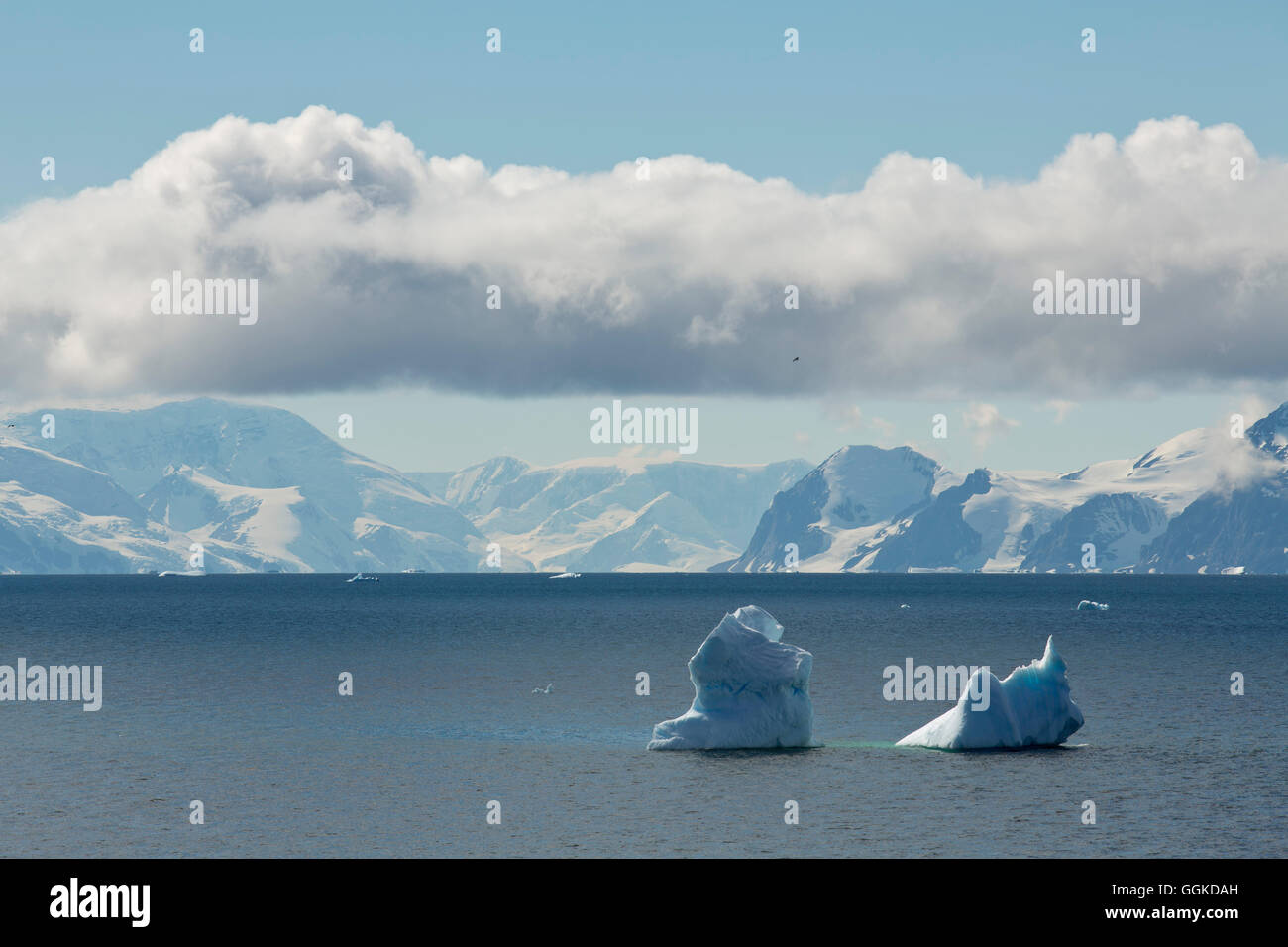 Paysage avec des icebergs de l'Antarctique, Baie Marguerite, l'Antarctique Banque D'Images