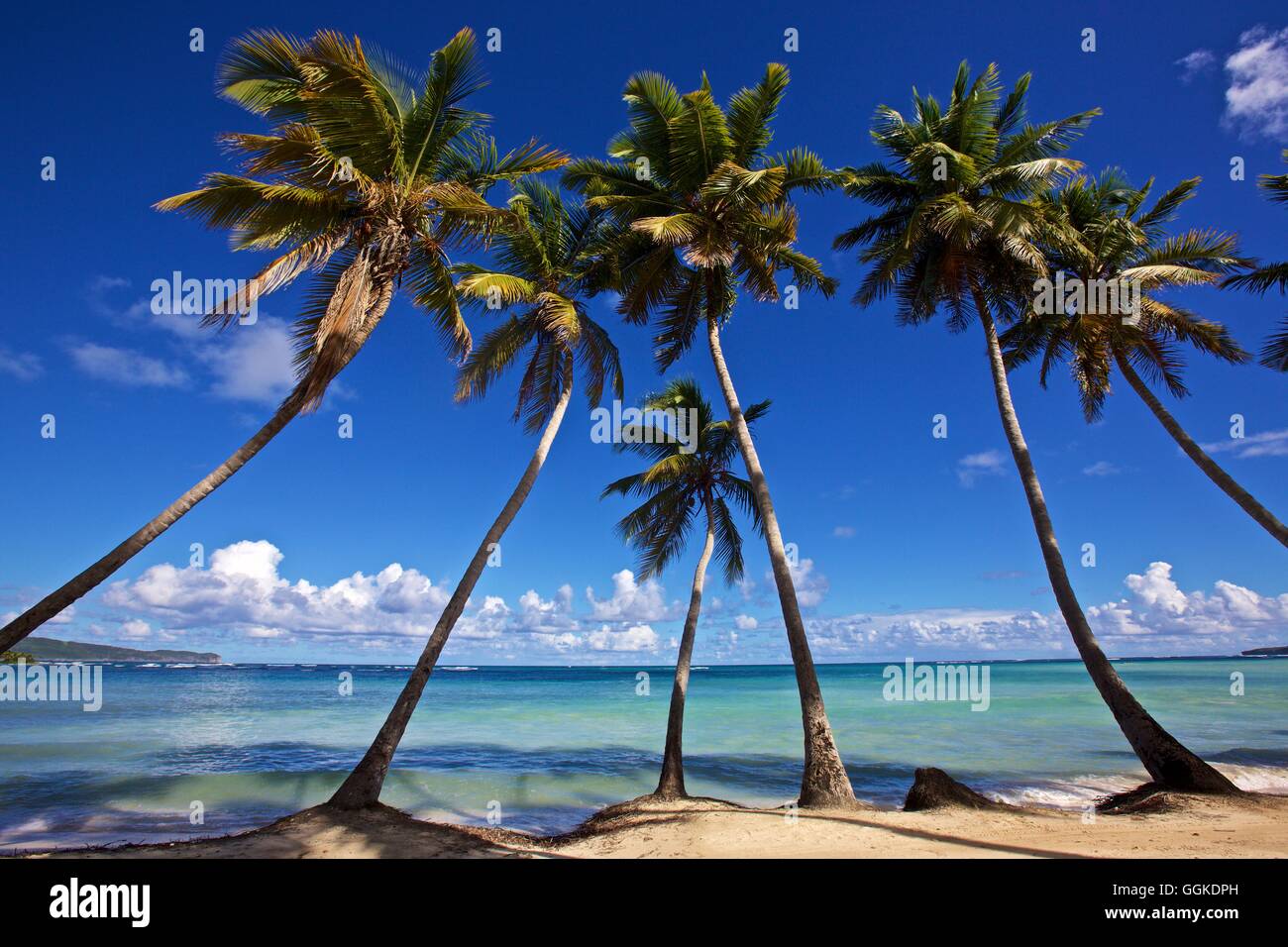 Palm Beach à Las Terrenas sur la péninsule de Samana, République Dominicaine Banque D'Images