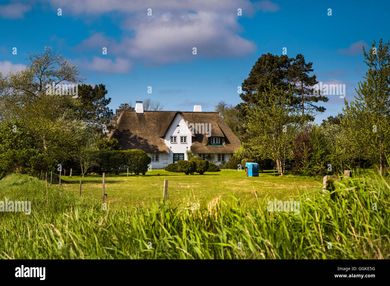 Maison de chaume, Nebel, Amrum Island, au nord de l'archipel Frison, Schleswig-Holstein, Allemagne Banque D'Images