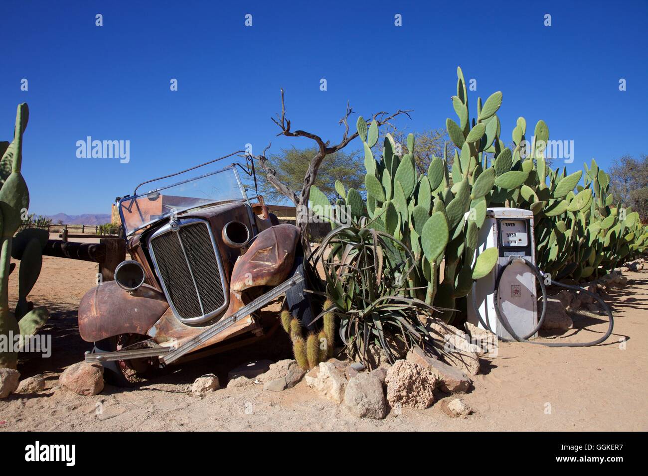 Voiture Rouillée Comme Décoration De Jardin Entre Les Cactus En Namibie  Image éditorial - Image du abandonné, arbres: 121856755