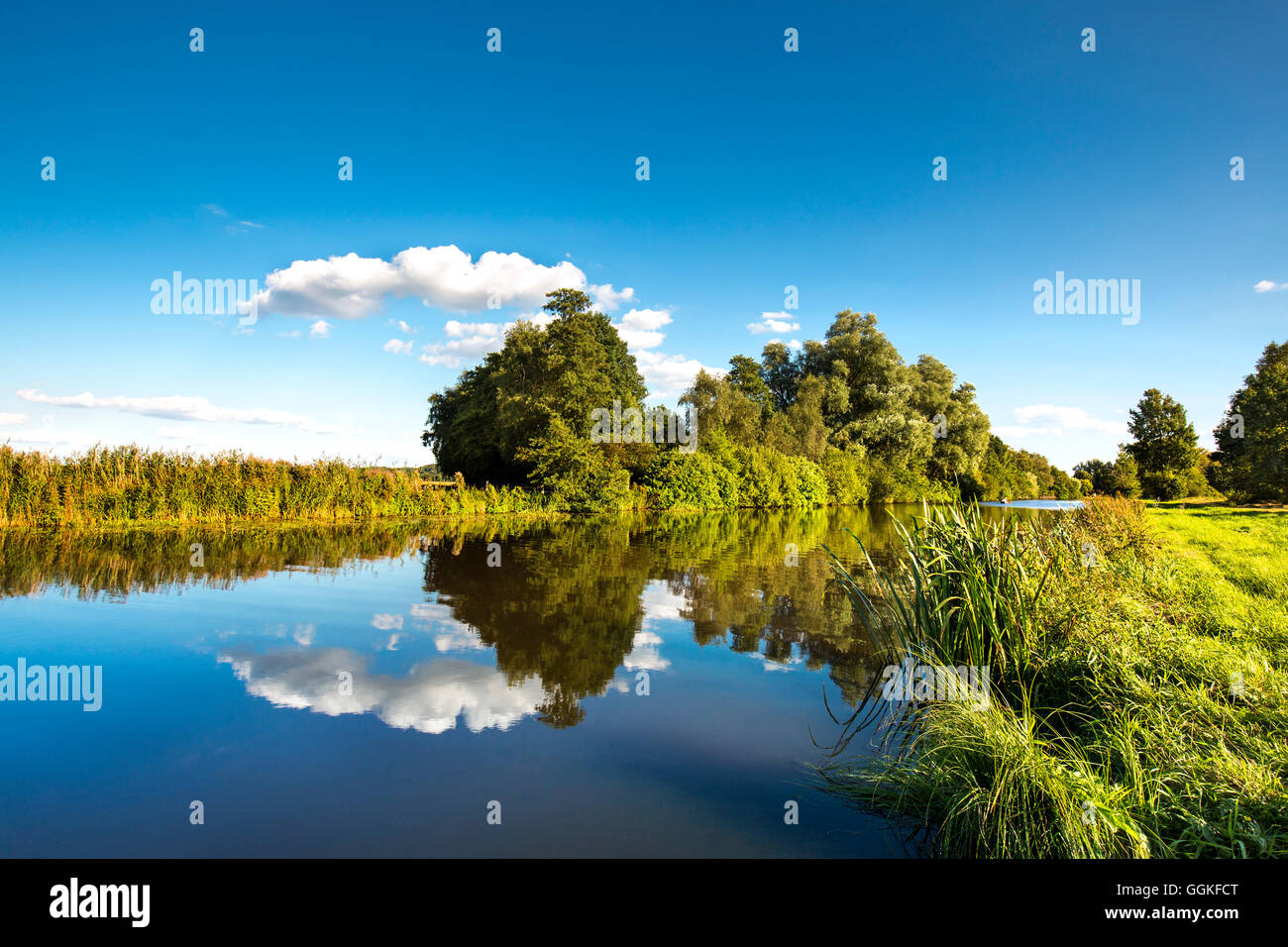 River Hamme, Worpswede, Teufelsmoor, Basse-Saxe, Allemagne Banque D'Images