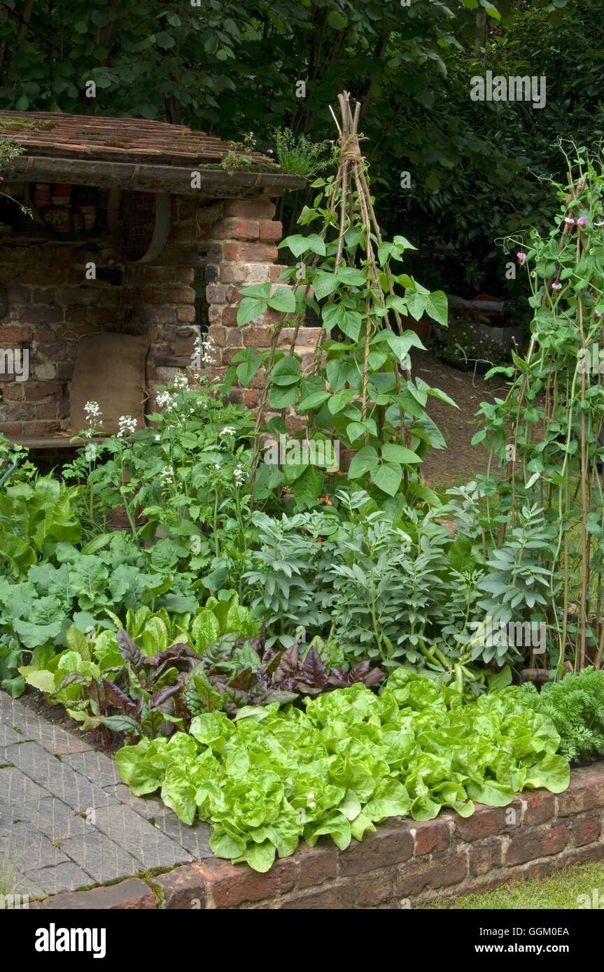 Jardin- Vegertable en laitues Fèves Haricots et pommes de terre.- - photos : Photos Hort/designers Adam Woolcott Banque D'Images