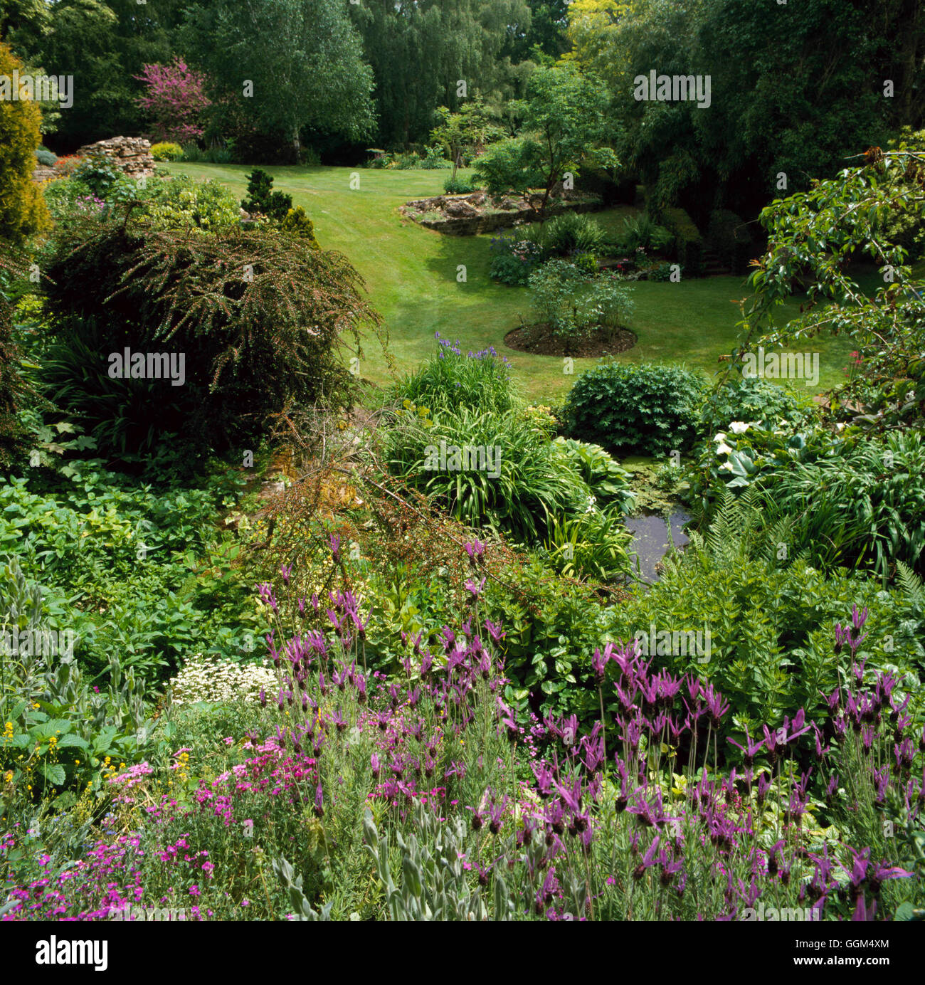 Jardin en pente - (photos : Photos Hort/Rockstead) SLO099061 Banque D'Images