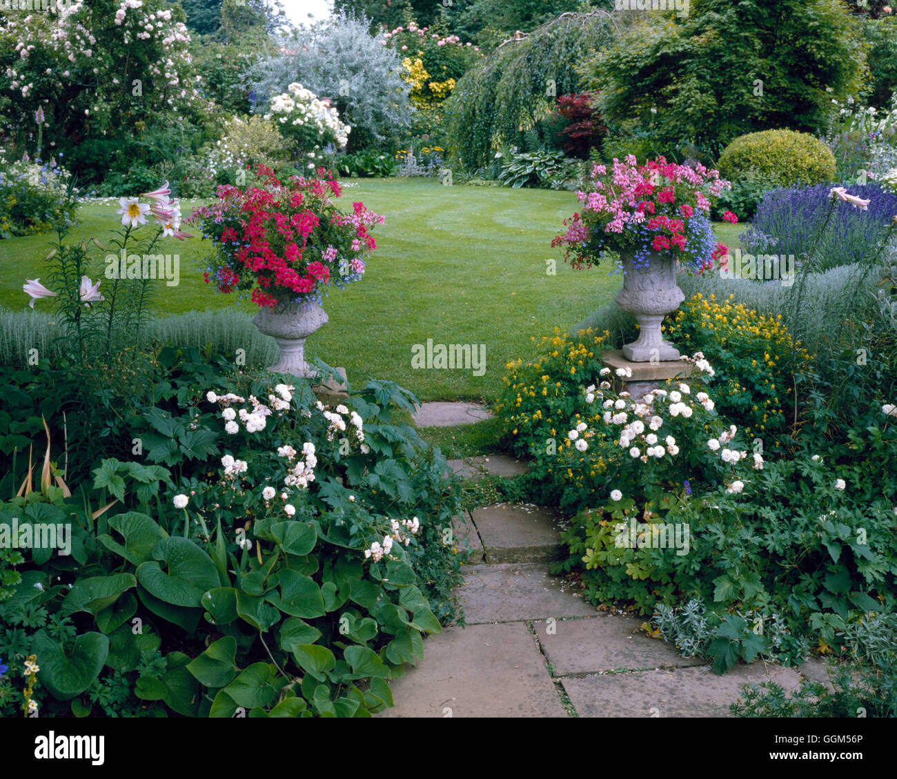 Jardin d'été - (photos : Photos de l'horticulture/ Soleil Chambre Long Melford) - Calendrier de l'homme vendu 2001 SOMME068611 Banque D'Images