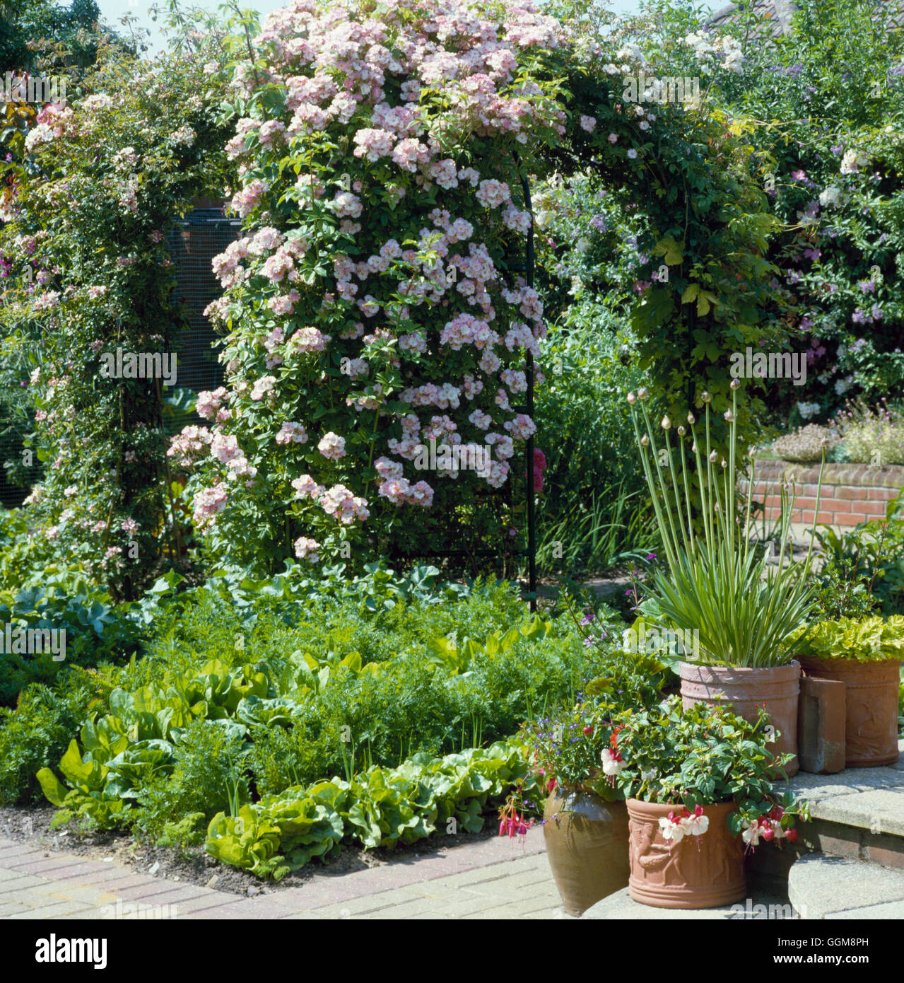 Jardin de fleurs et de légumes VAF050857 Banque D'Images