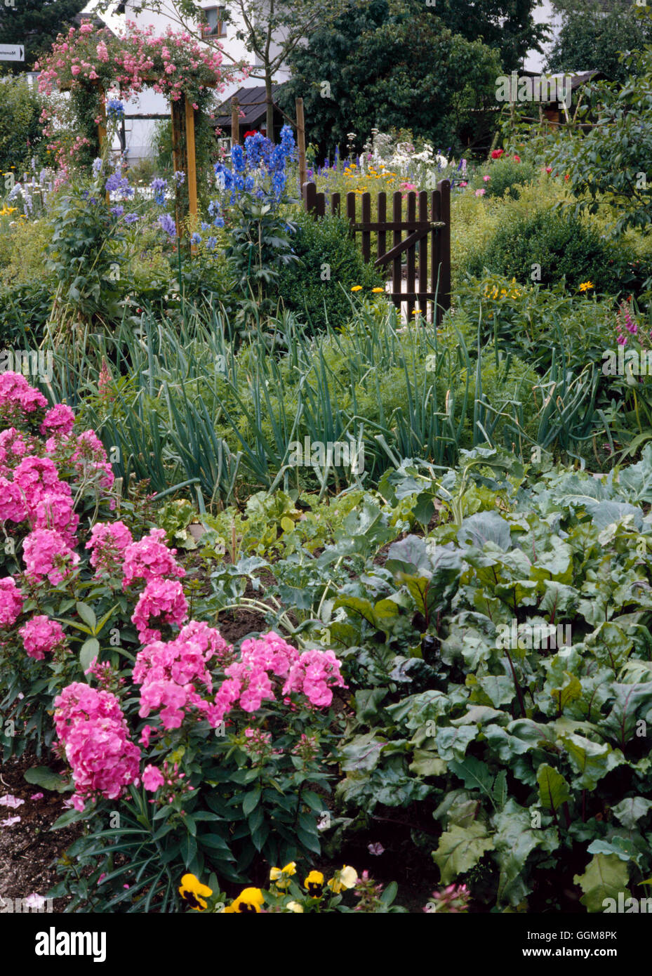 Jardin de fleurs et de légumes VAF077581 Banque D'Images