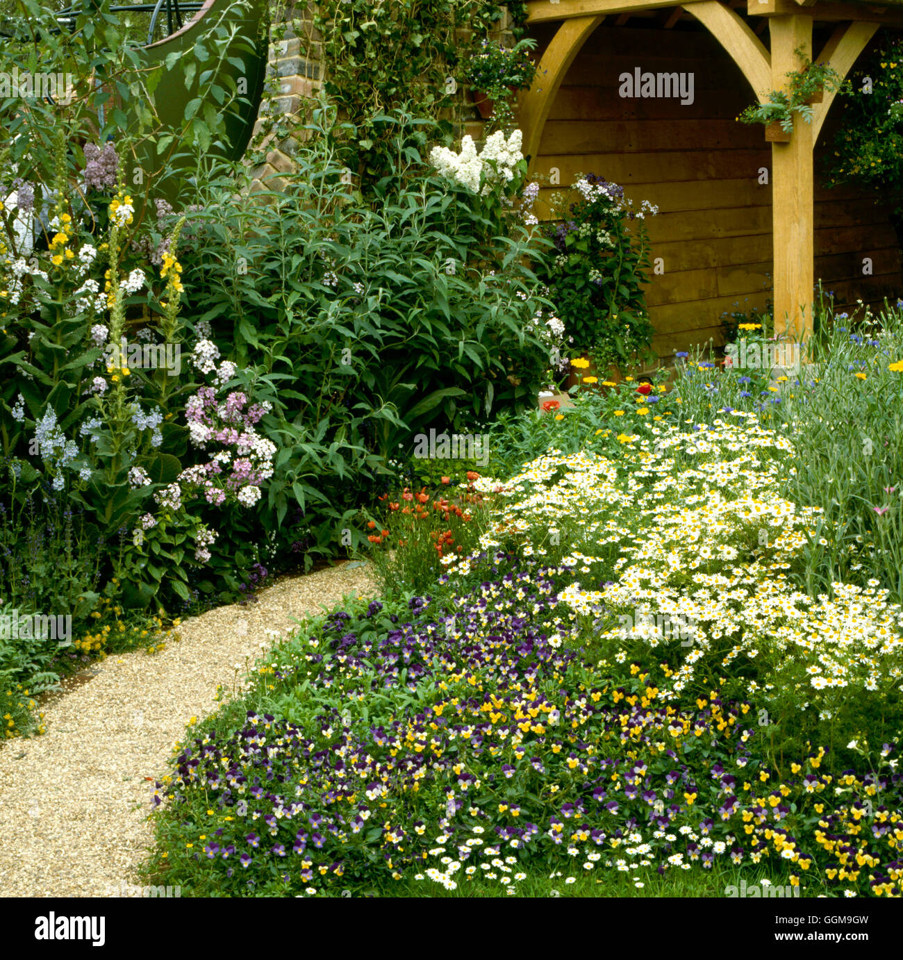 Jardin de fleurs sauvages - (Veuillez Crédit Photos Hort/John Chambers/Chelsea) 1991 WFL034854 Photos H Banque D'Images
