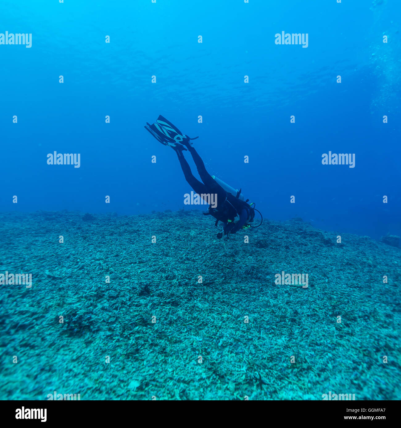 Homme plongeur aller loin, Bali Banque D'Images