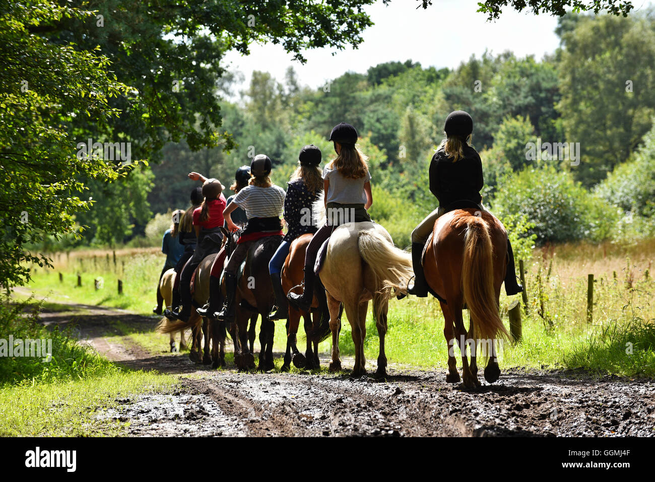 Club De Poney Banque D Image Et Photos Alamy Club De Poney Banque D Image Et Photos Alamy