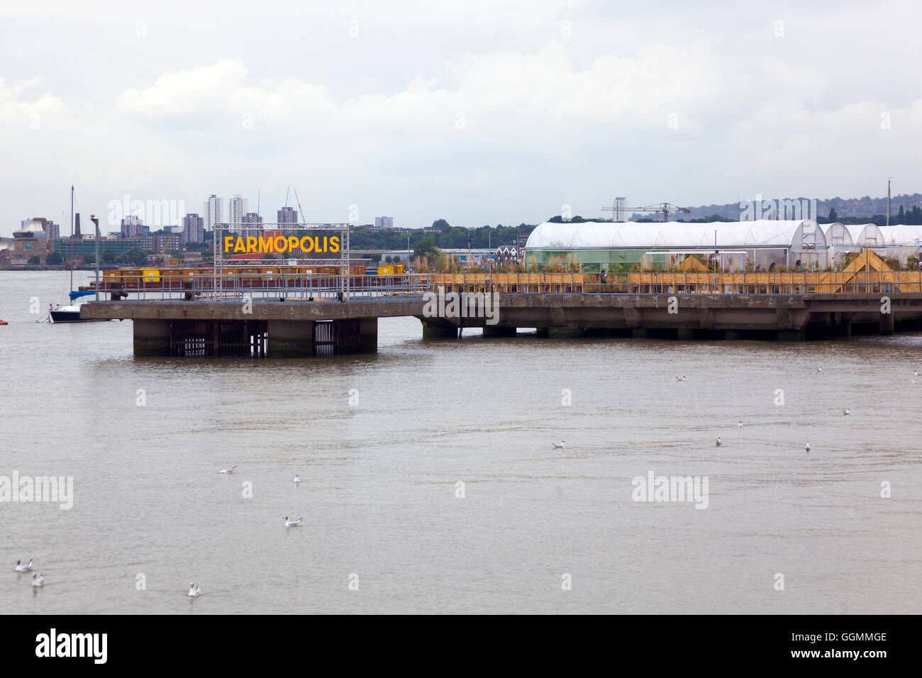 30 juillet 2016 - Farmopolis à la jetée, à Greenwich Peninsula displaying a fait plus de fleurs et plantes à partir de la Chelsea Flower Show Banque D'Images