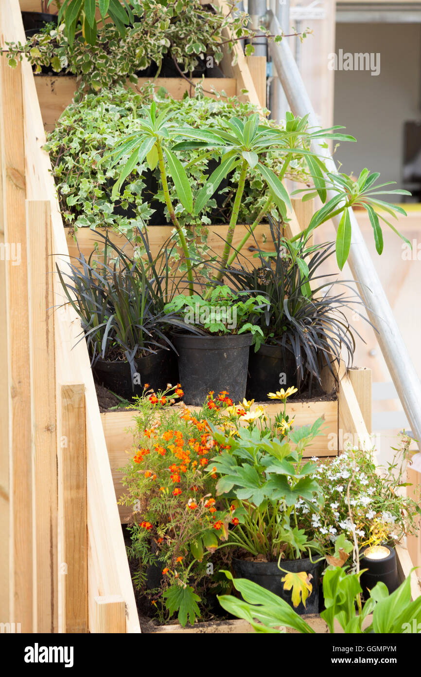 30 juillet 2016 - Farmopolis à la jetée, à Greenwich Peninsula displaying a fait plus de fleurs et plantes à partir de la Chelsea Flower Show Banque D'Images