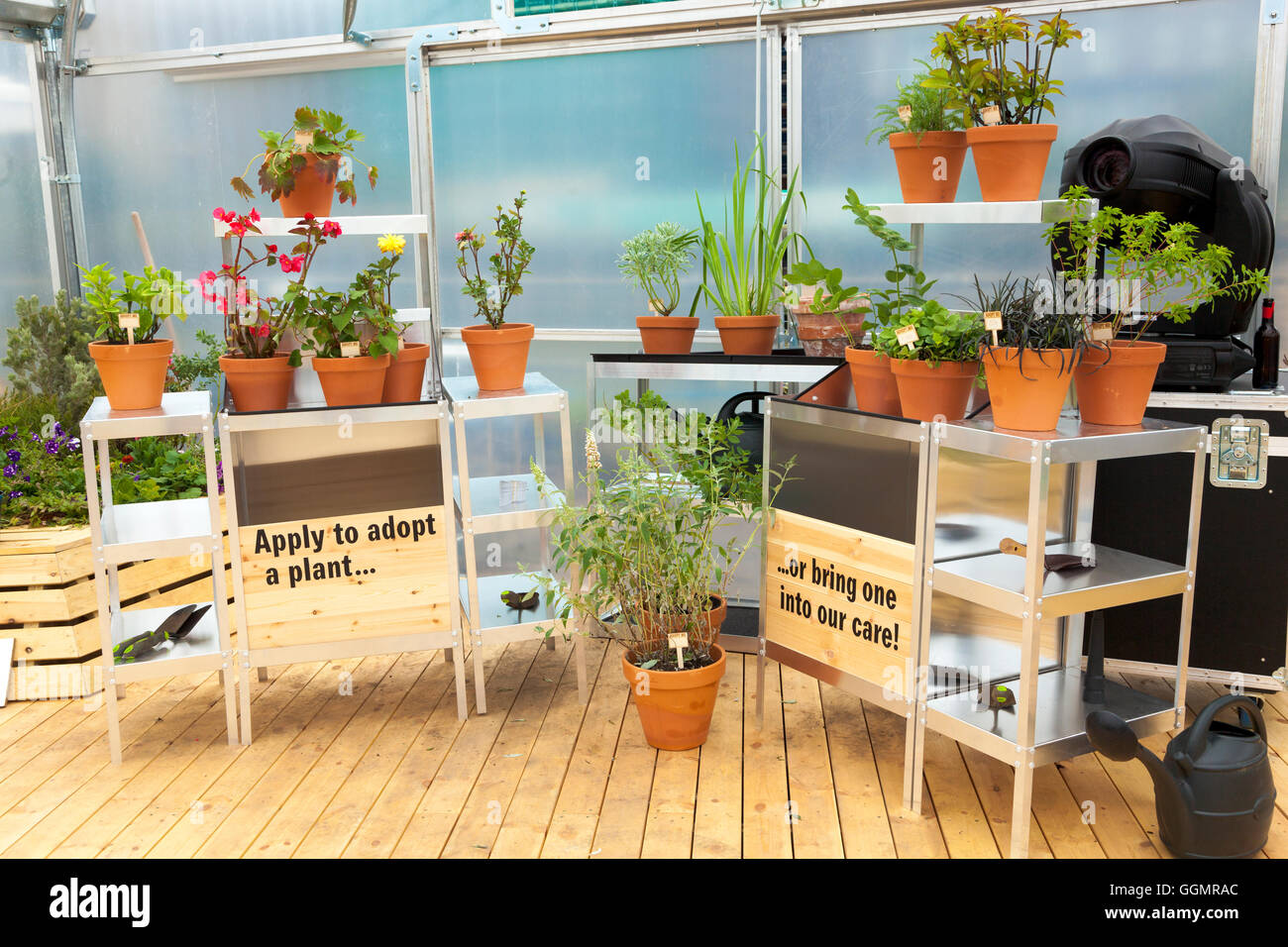 30 juillet 2016 - Farmopolis à la jetée, à Greenwich Peninsula displaying a fait plus de fleurs et plantes à partir de la Chelsea Flower Show Banque D'Images