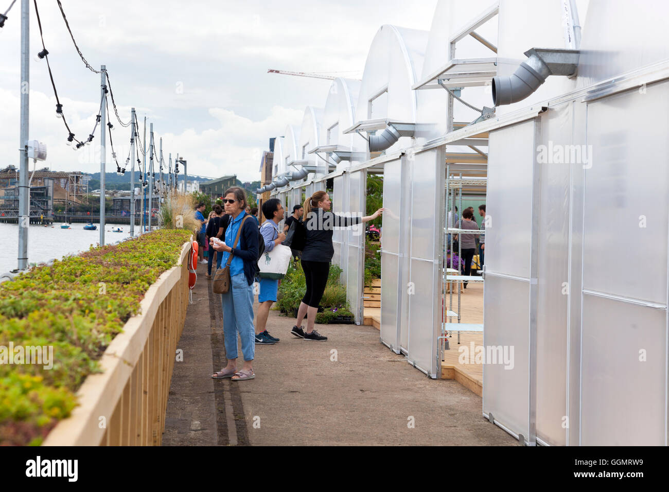 30 juillet 2016 - Farmopolis à la jetée, à Greenwich Peninsula displaying a fait plus de fleurs et plantes à partir de la Chelsea Flower Show Banque D'Images