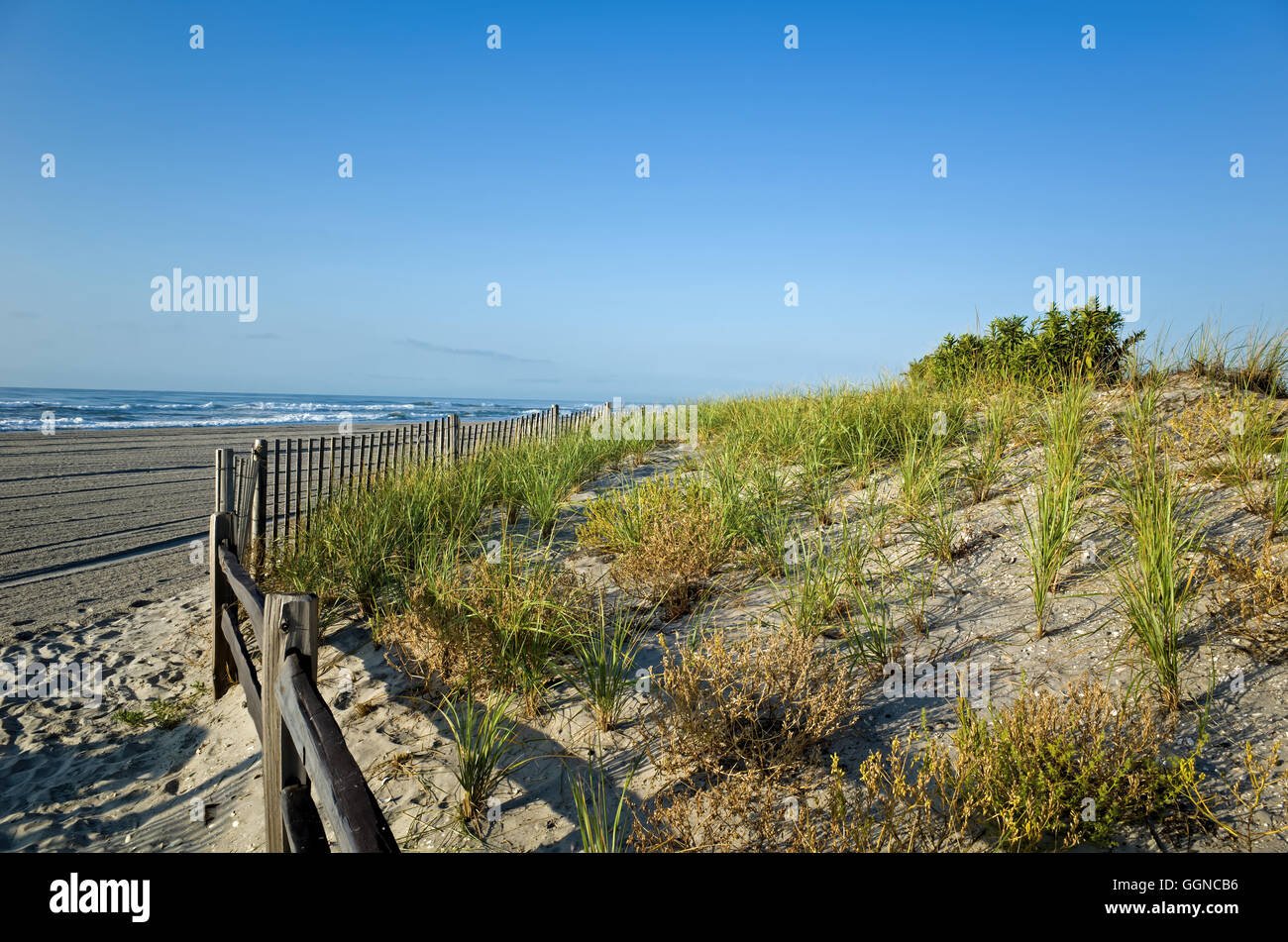 Dunes de sable fragile le long du rivage du New Jersey à la fin de l'été. Banque D'Images