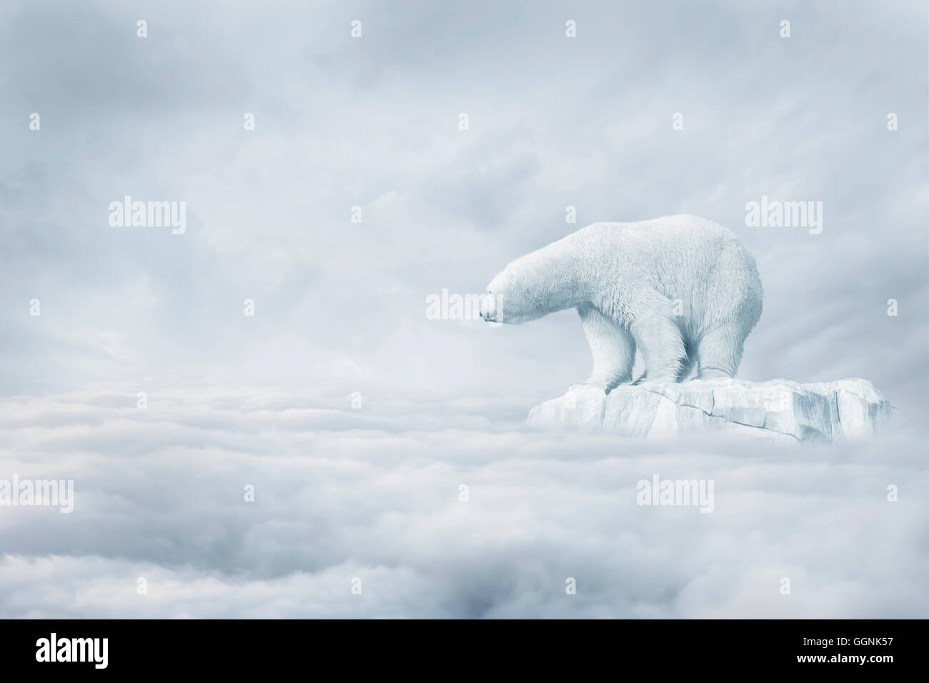 L'ours polaire sur la banquise flottant dans les nuages Banque D'Images