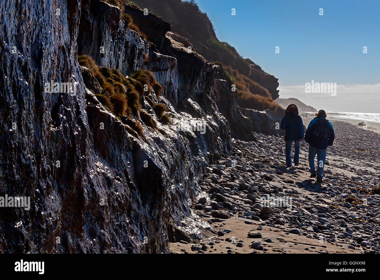 CHRISTINE KOLISCH et AMOS LOVELL à pied la plage à ANO NUEVO STATE PARK - Californie Banque D'Images