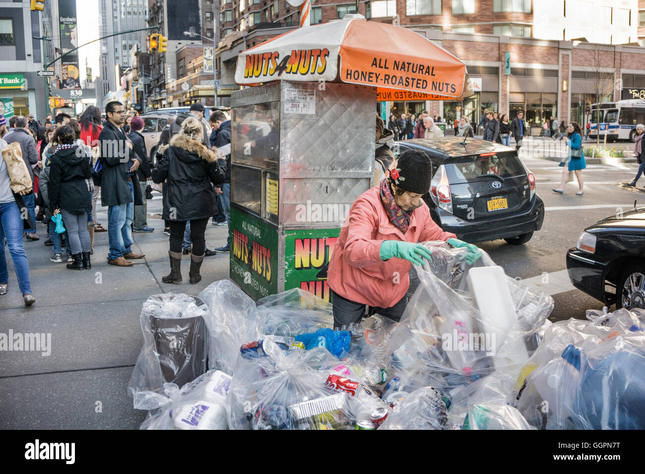 Soigneusement alignés vieille dame en parka et Corail joli foulard sacs de recyclage des sondes avec des gants de caoutchouc pour recueillir une dure journée de rémunération Banque D'Images
