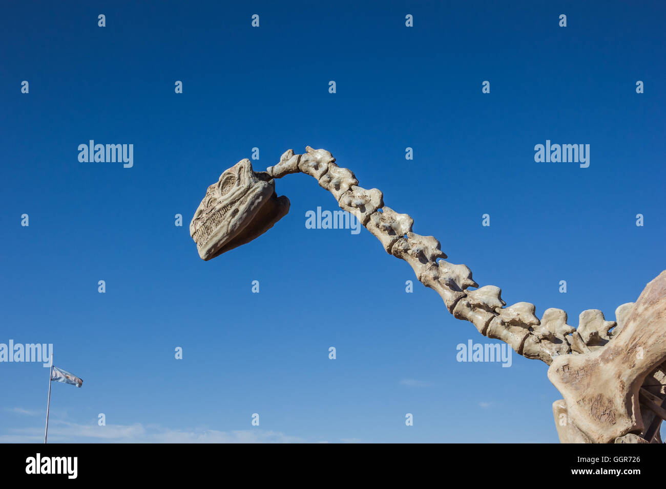 Squelette de dinosaure au centre des visiteurs du Parc national Talampaya, Argentine. Banque D'Images