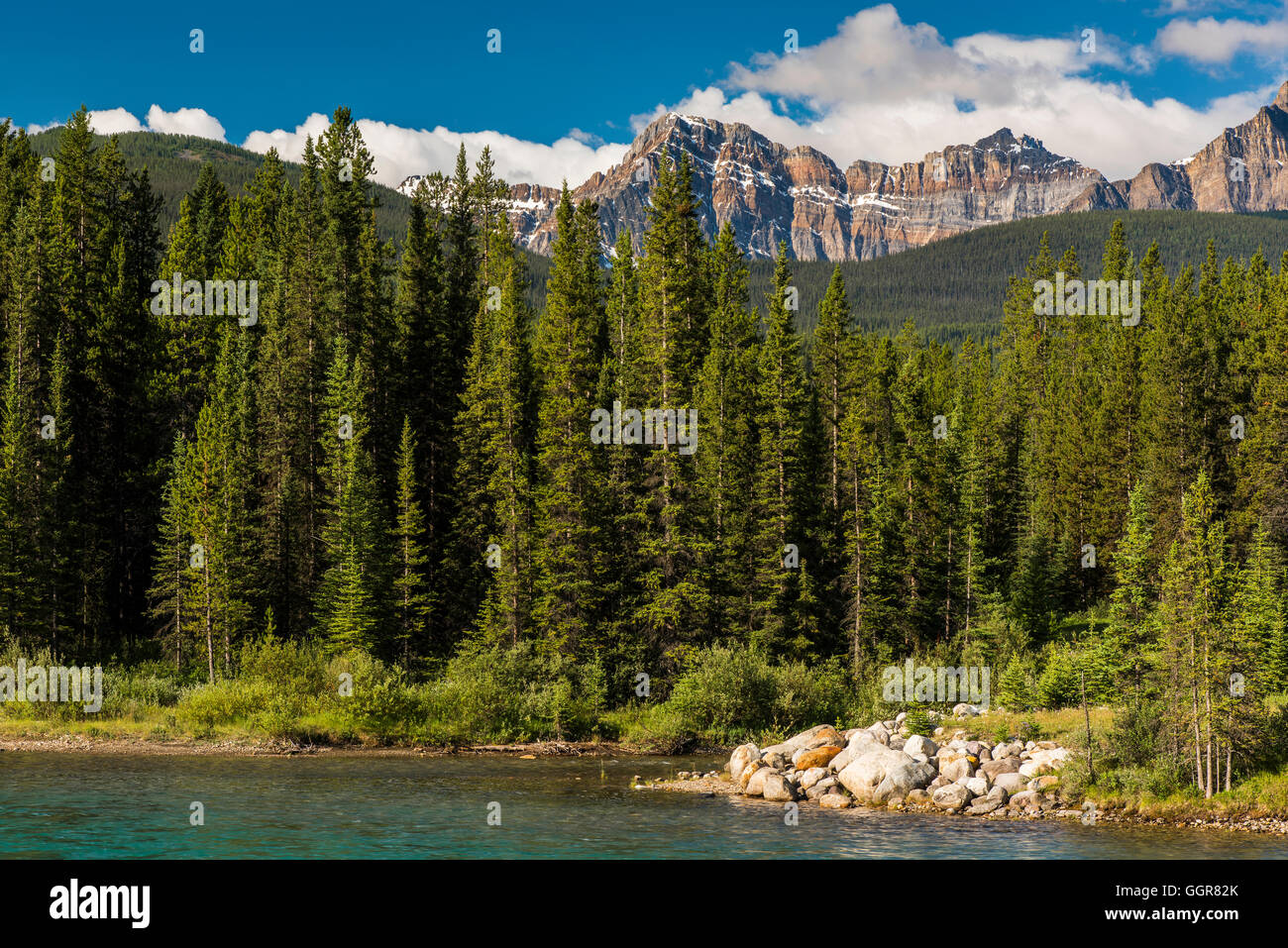 Bow River, Banff National Park, Alberta, Canada Banque D'Images